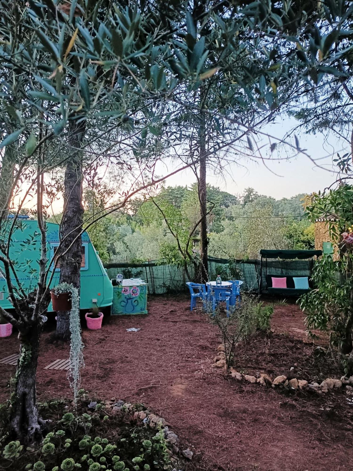 Ir Por Ai Arrabida Ξενοδοχείο Azeitao Εξωτερικό φωτογραφία